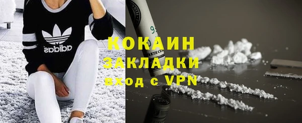 гидра Абаза