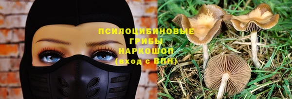 молекула духа Абдулино